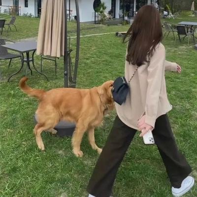 女生万岁第一季